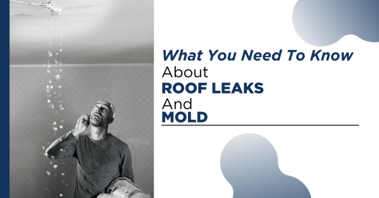 What You Need To Know About Mold From A Roof Leak