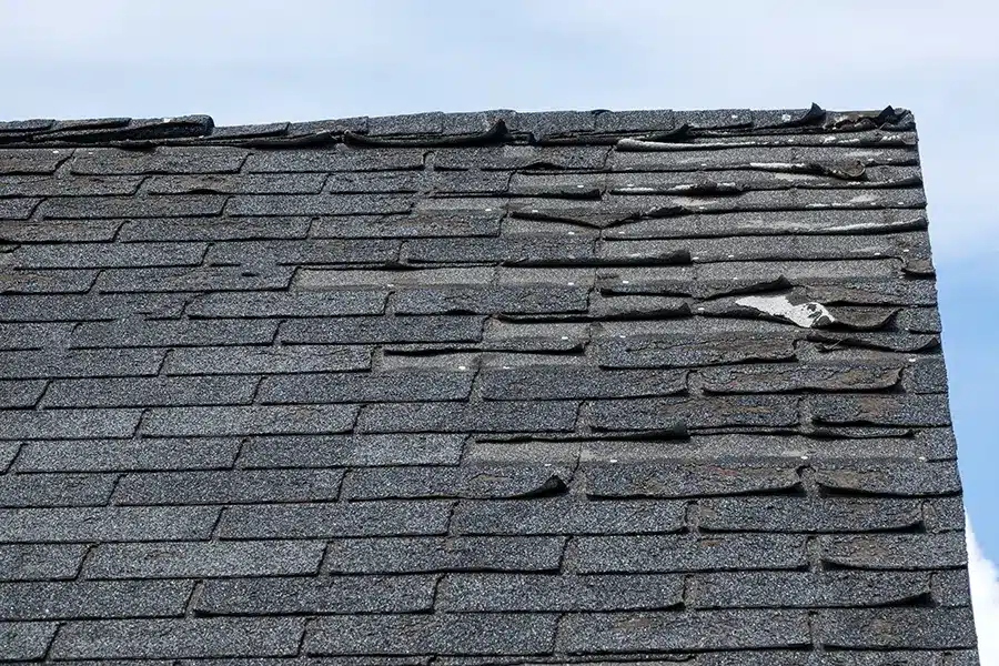 Roof with damaged shingles